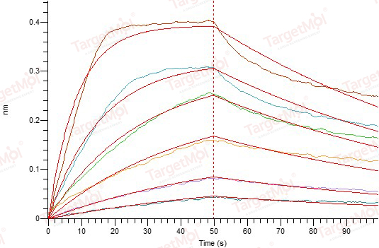 IL-2 Superkine Protein, Human, Recombinant (L100F, R101D, L105V, I106V, I112F)