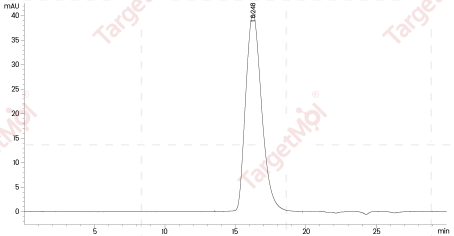 LIF Protein, Human, Recombinant