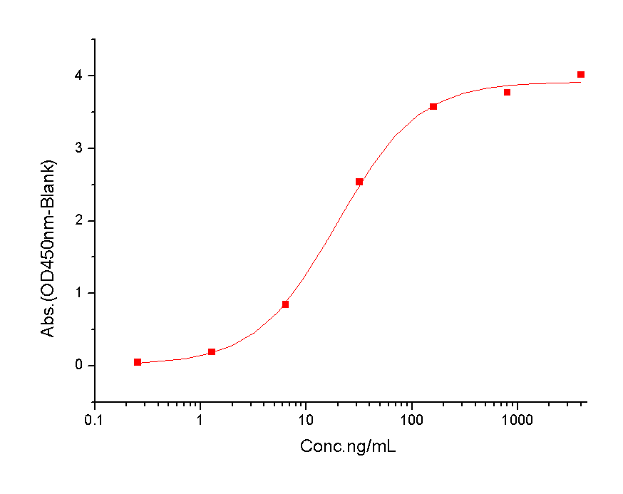 HER2/ERBB2 Protein, Human, Recombinant