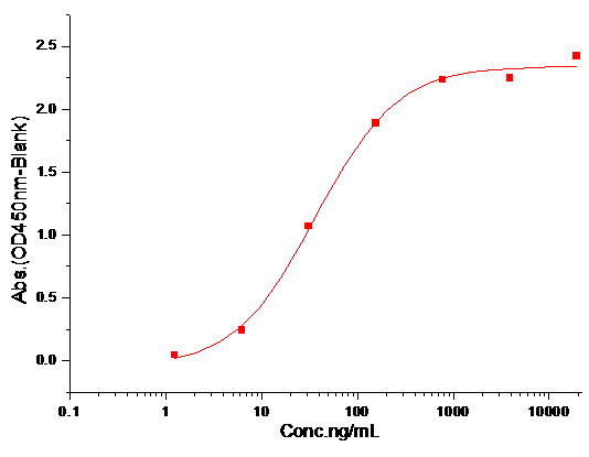 FCGR4 Protein, Mouse, Recombinant (His)