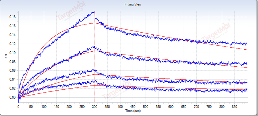 CD20 Protein, Human, Recombinant (TrxA), Biotinylated