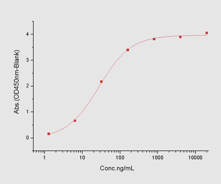 CD70 Protein, Human, Recombinant (hFc)