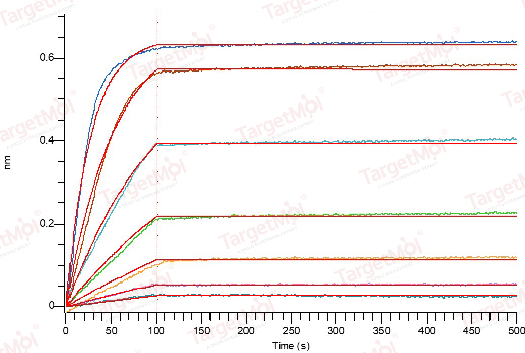 RANKL/TNFSF11/CD254 Protein, Mouse, Recombinant (His)