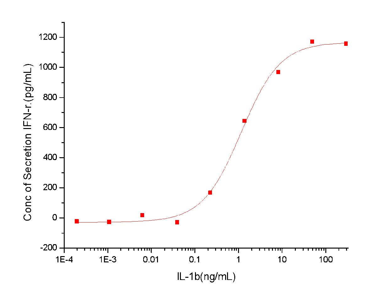 IL-1 beta/IL-1F2 Protein, Human, Recombinant