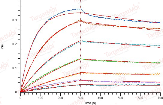 TPSAB1 Protein, Human, Recombinant (His)