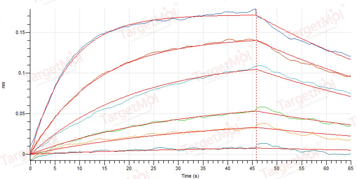 TSLP Protein, Human, Recombinant