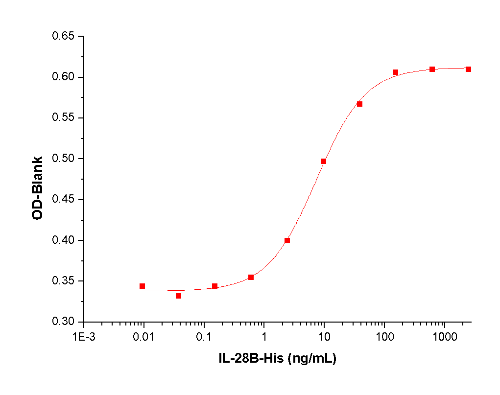 IL-28B Protein, Human, Recombinant (His)