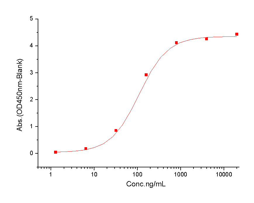 M-CSF/CSF1 Protein, Mouse, Recombinant