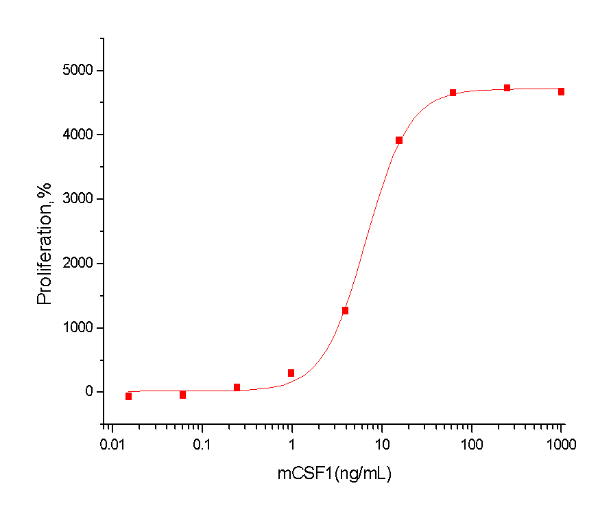 M-CSF/CSF1 Protein, Mouse, Recombinant