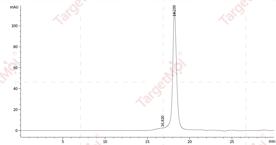 G-CSF Protein, Human, Recombinant