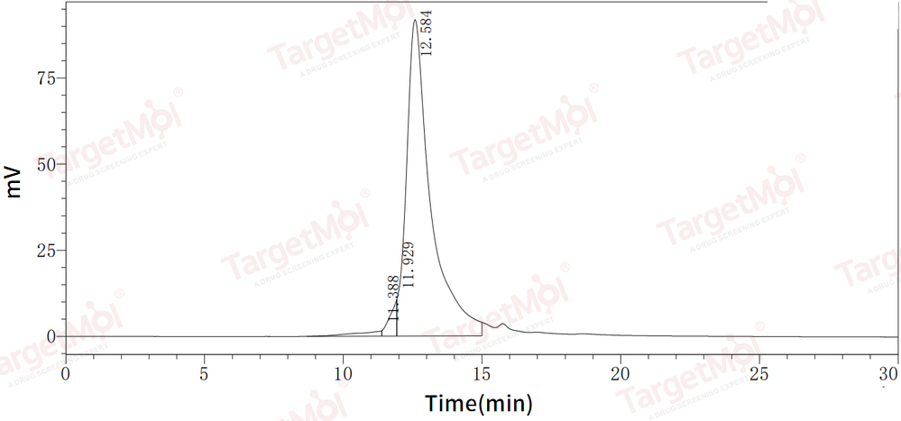 HGF Protein, Human, Recombinant (His)