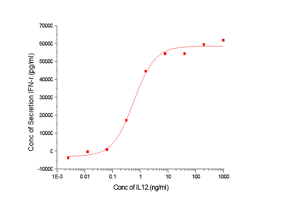 IL-12 Protein, Human, Recombinant