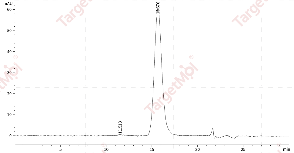 GM-CSF/CSF2 Protein, Human, Recombinant