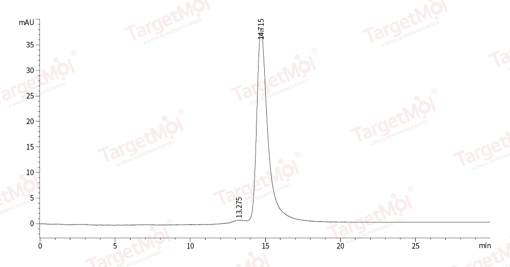 VEGF164 Protein, Mouse, Recombinant