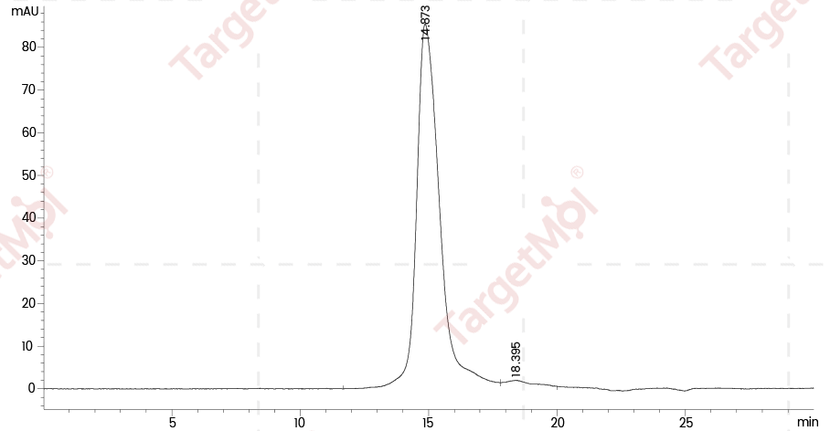 RAGE Protein, Human, Recombinant