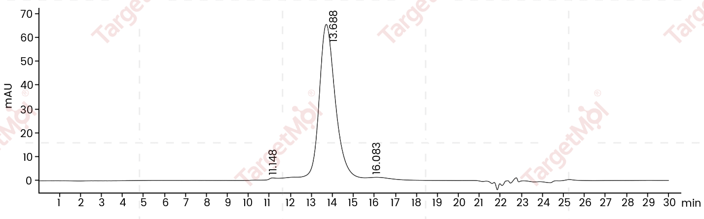 CD47 Protein, Human, Recombinant