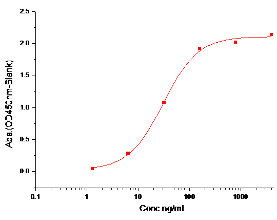 VEGF121b Protein, Human, Recombinant