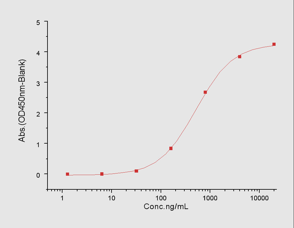 CD96 Protein, Human, Recombinant (His)