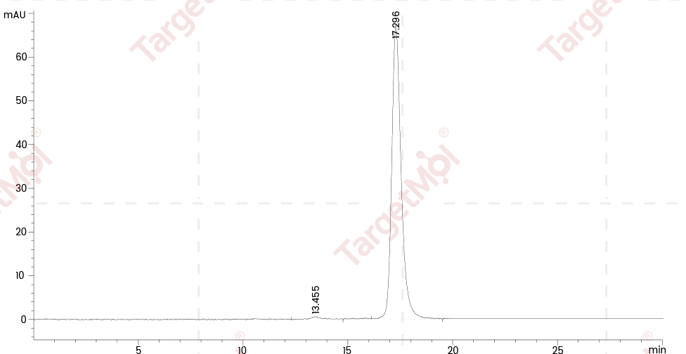 IL-7 Protein, Human, Recombinant