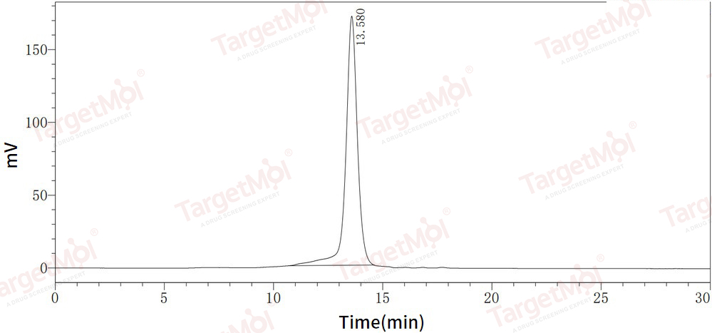 IL-7 Protein, Mouse, Recombinant (His)