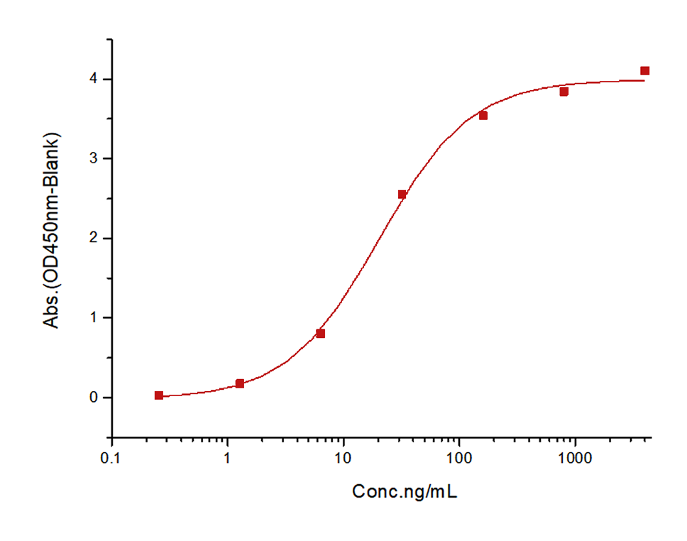 HER2/ERBB2 Protein, Human, Recombinant , Biotinylated