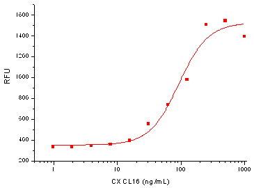 CXCL16 Protein, Human, Recombinant (His)