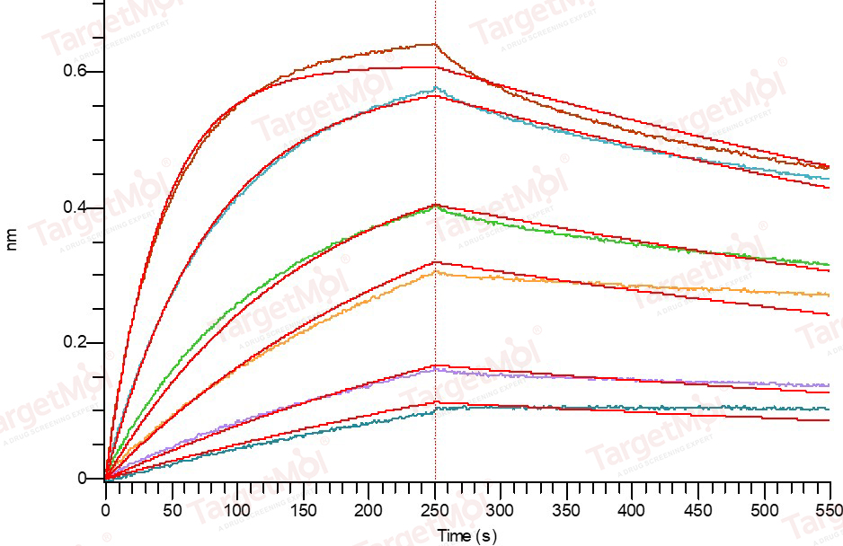 CD79B Protein, Human, Recombinant (hFc)