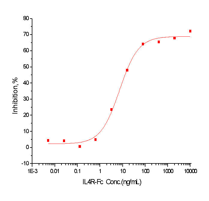 IL-4R Protein, Human, Recombinant (hFc)