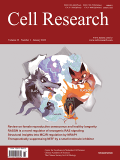 Structural basis of signaling regulation of the human melanocortin-2 receptor by MRAP1