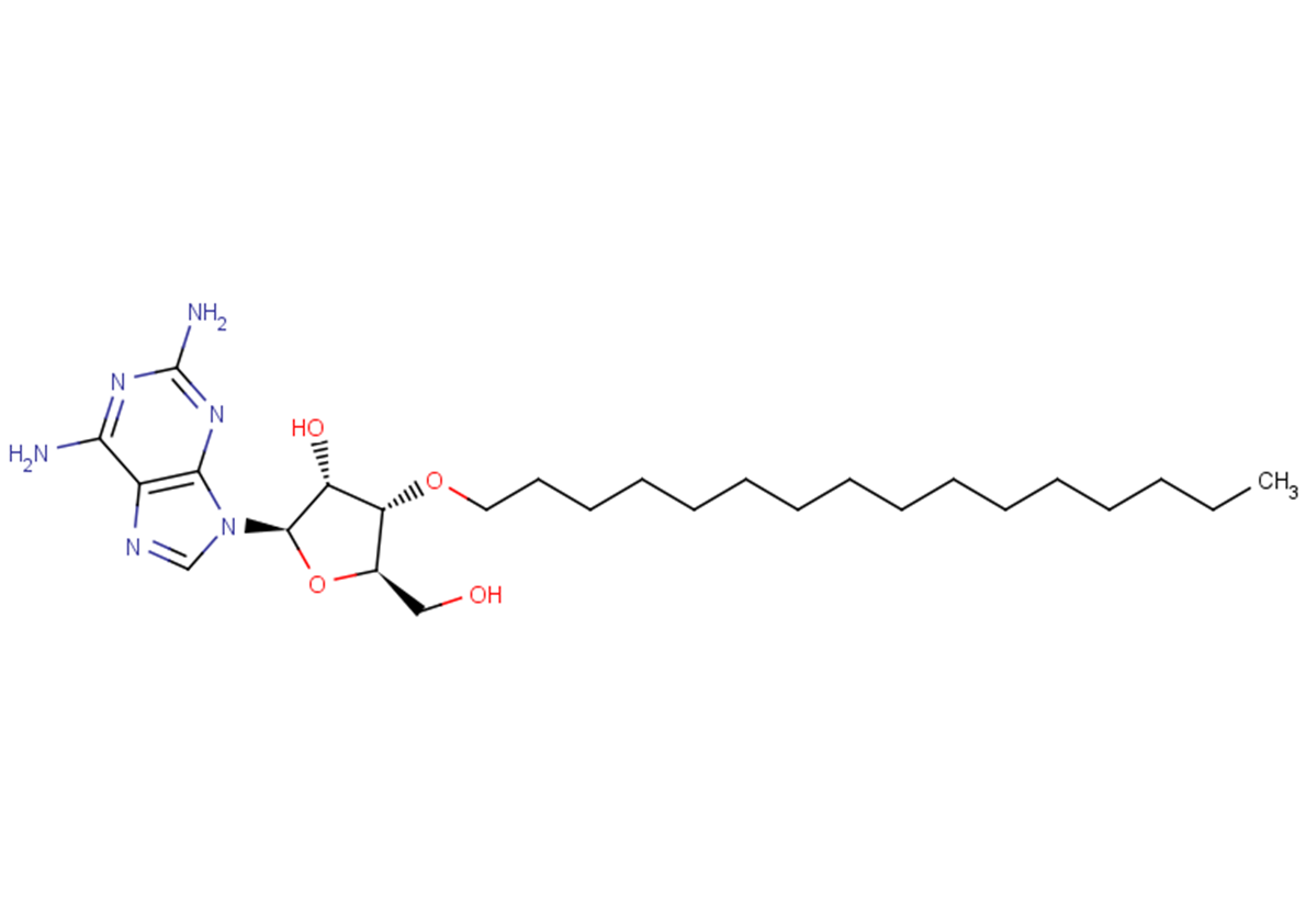 3’-O-Hexadecanyl-2-aminoadenosine