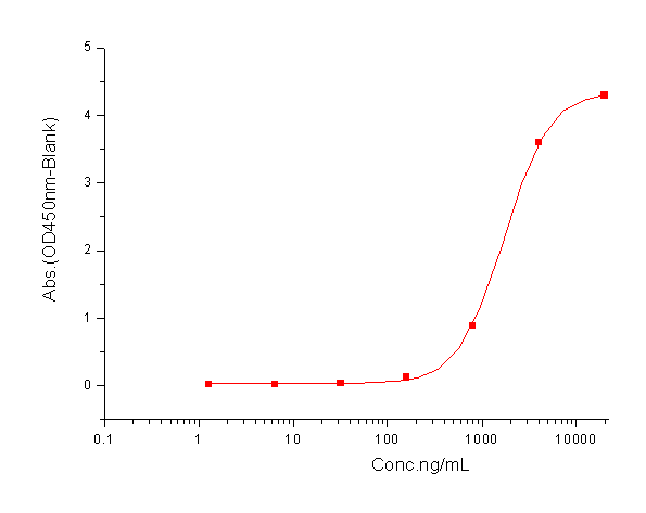 RANKL/TNFSF11/CD254 Protein, Mouse, Recombinant (hFc)