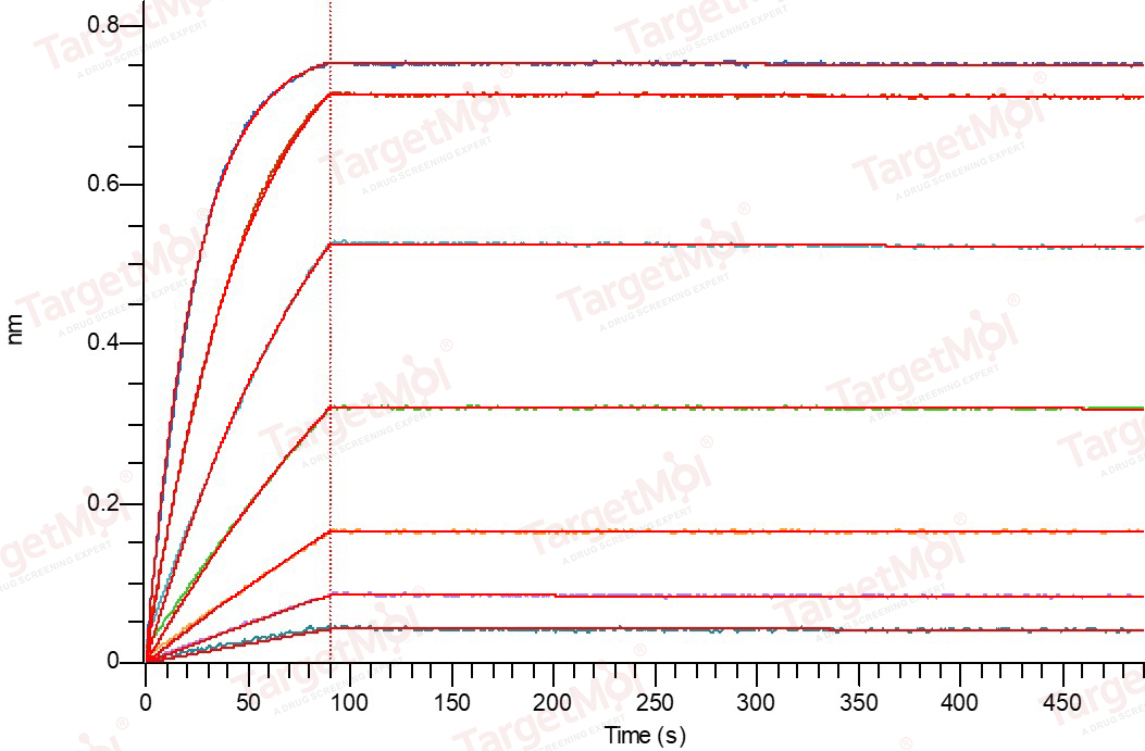 TL1A/TNFSF15 Protein, Mouse, Recombinant