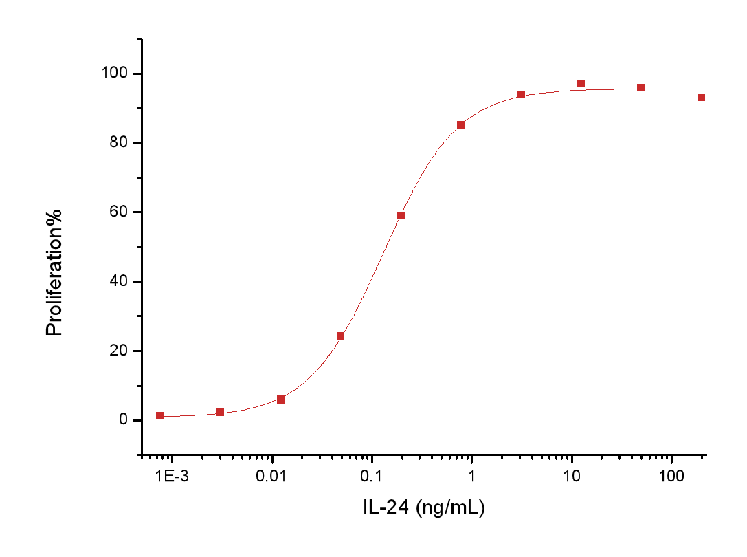 IL-24 Protein, Human, Recombinant (His)