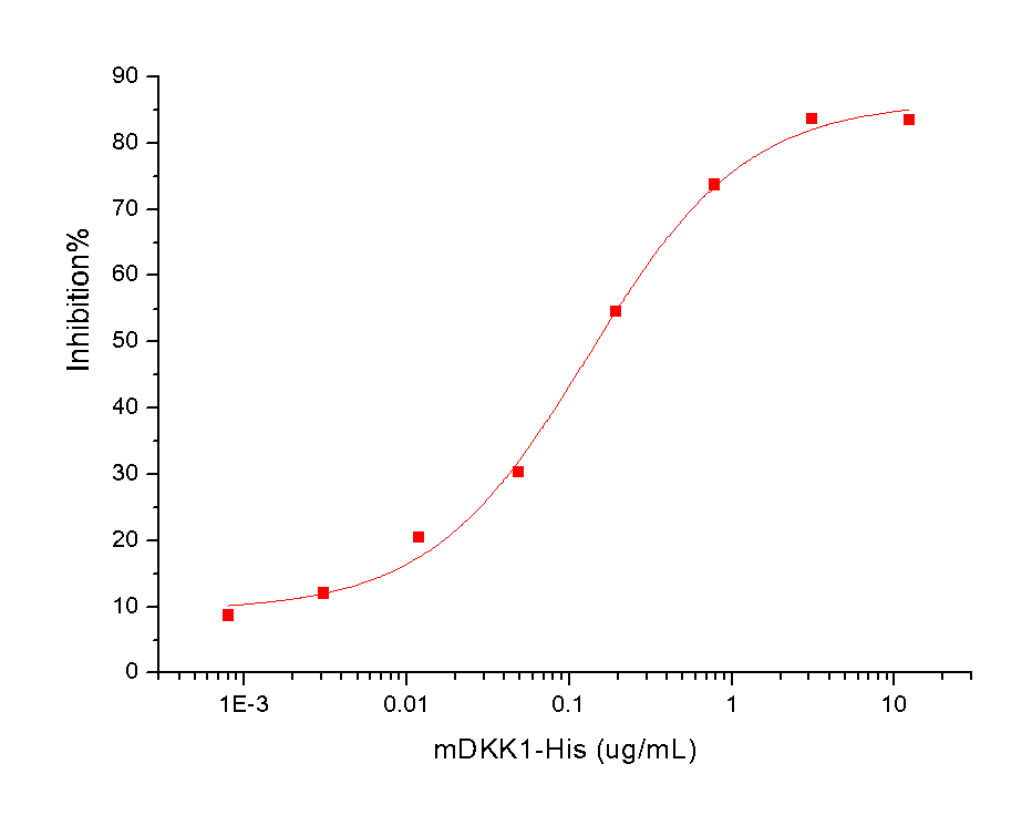 DKK1 Protein, Mouse, Recombinant (His)