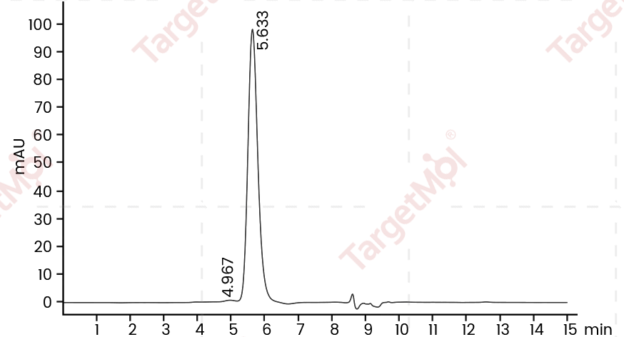 HER2/ERBB2 Protein, Human, Recombinant