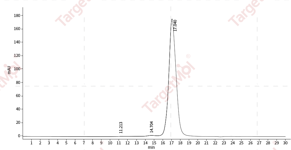 MMP-2 Protein, Human, Recombinant