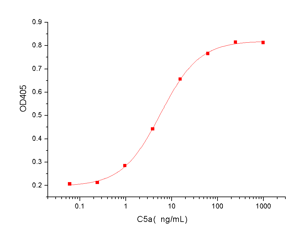 Complement C5 Protein, Human, Recombinant (Complement C5a)