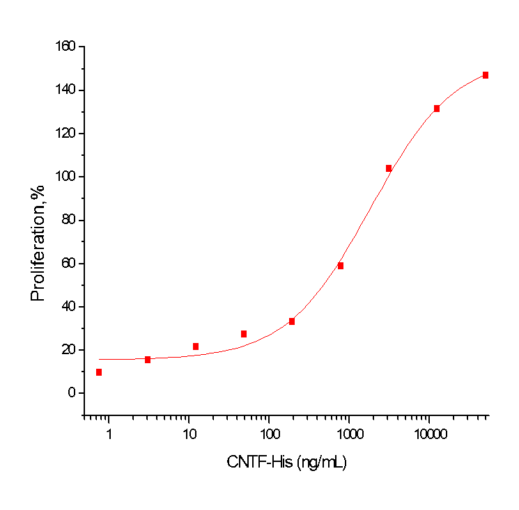 CNTF Protein, Human, Recombinant (His)