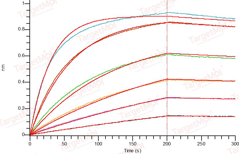 IL-17 Protein, Mouse, Recombinant (His)