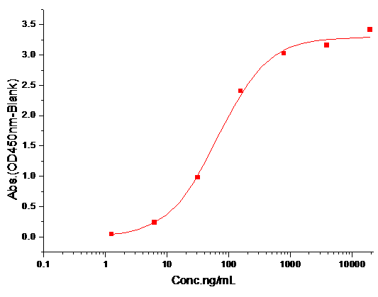 IL-12RB2 Protein, Mouse, Recombinant (His)