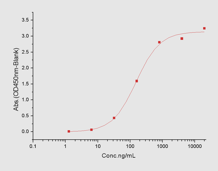 RANKL/TNFSF11/CD254 Protein, Human, Recombinant