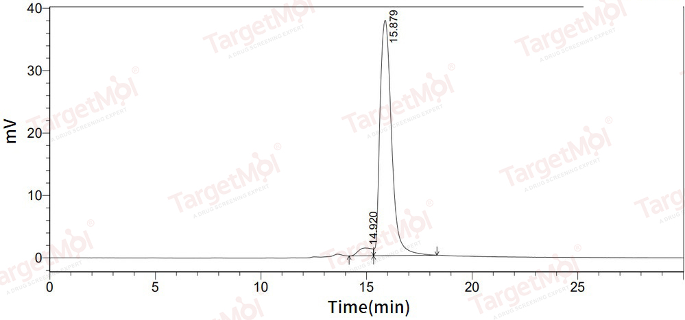 Oncostatin M/OSM Protein, Human, Recombinant (E. coli, His)