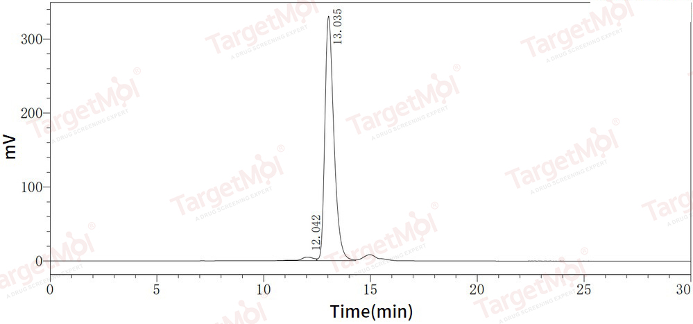 RANKL/TNFSF11/CD254 Protein, Human, Recombinant (E. coli)