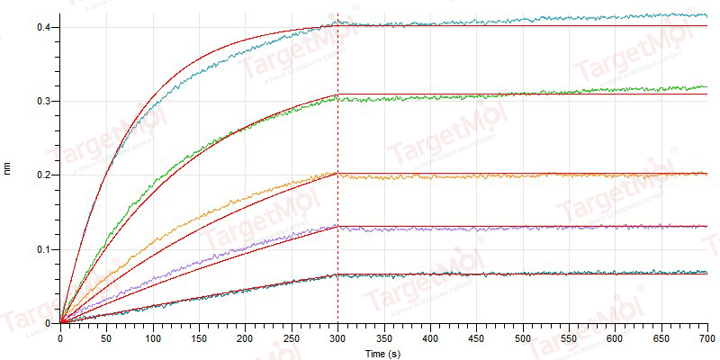 IL-4R alpha Protein, Mouse, Recombinant (hFc)