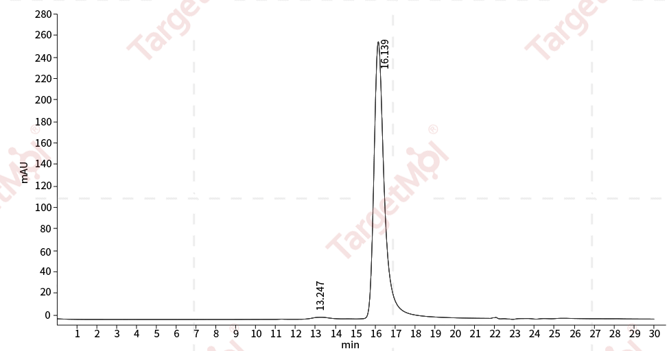 Noggin/NOG Protein, Human, Recombinant