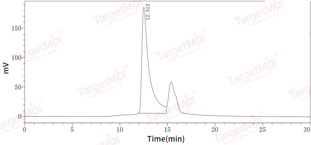 Noggin/NOG Protein, Mouse, Recombinant (His)