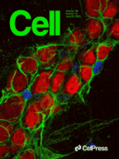 Distinct longevity mechanisms across and within species and their association with aging