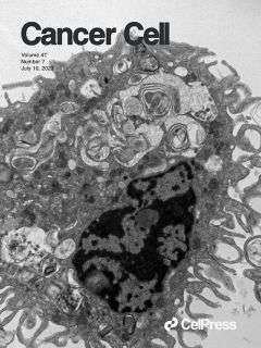 Exhaustion-associated cholesterol deficiency dampens the cytotoxic arm of antitumor immunity