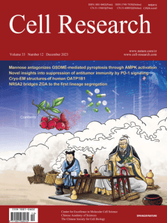 Cryo-EM structures of human organic anion transporting polypeptide OATP1B1