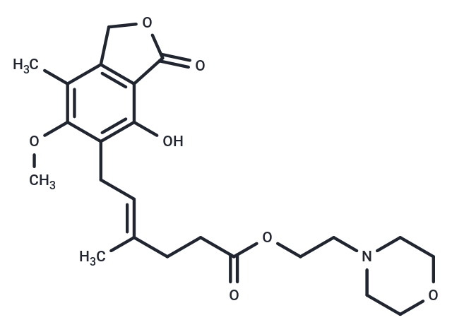 Mycophenolate Mofetil